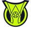 Logo de Brasileirão